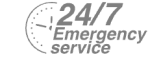 24/7 Emergency Service Pest Control in Strawberry Hill, Whitton, TW2. Call Now! 020 8166 9746
